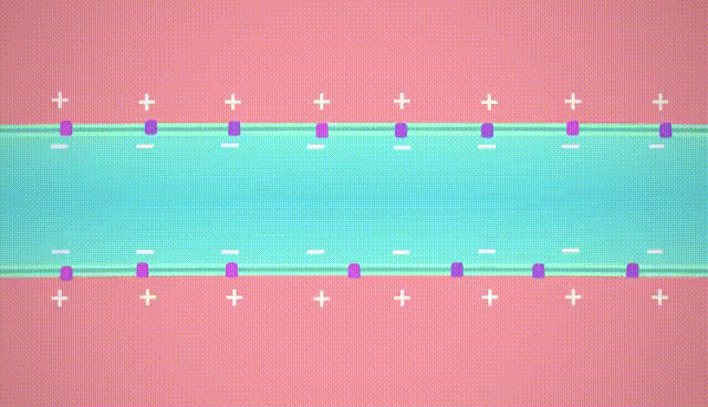 action-potential-crash-course.gif